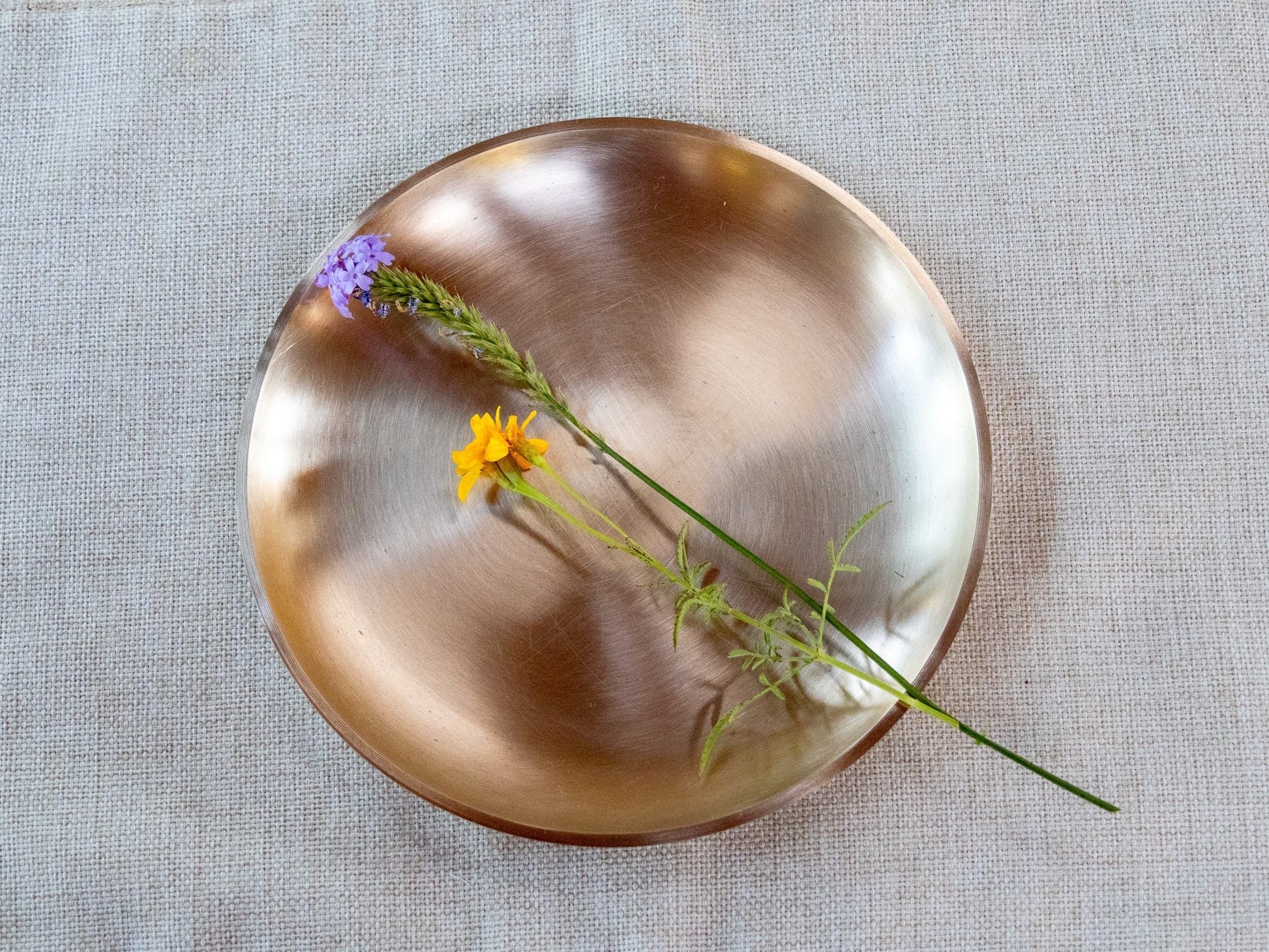 Bronze Dinner PlatetevanaaBronze Dinner PlatetevanaaBronze Dinner Plate